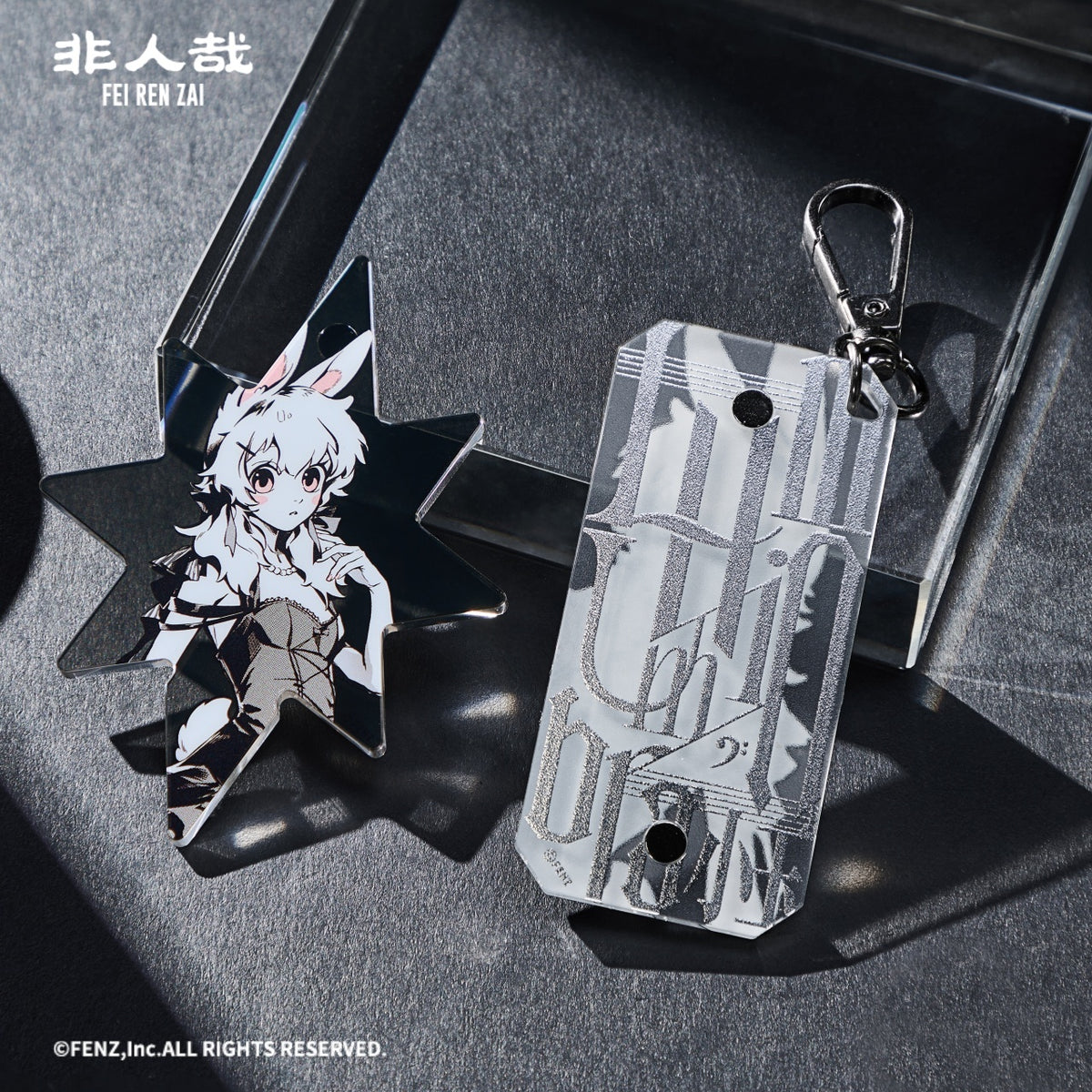 FEI REN ZAI Luminumbra Series Acrylic Charm Blind Box